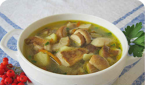 Грибний суп з свіжих, сушених, заморожених білих грибів — рецепти
