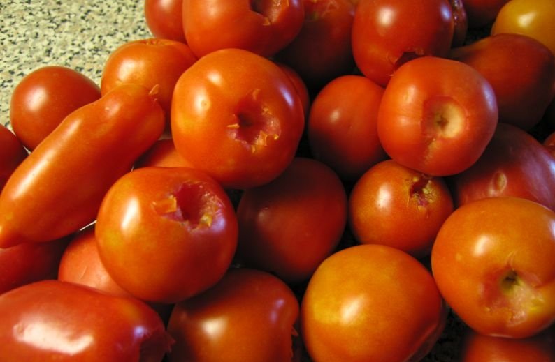 Мариновані помідори в банках — пальчики оближеш! Рецепти на зиму