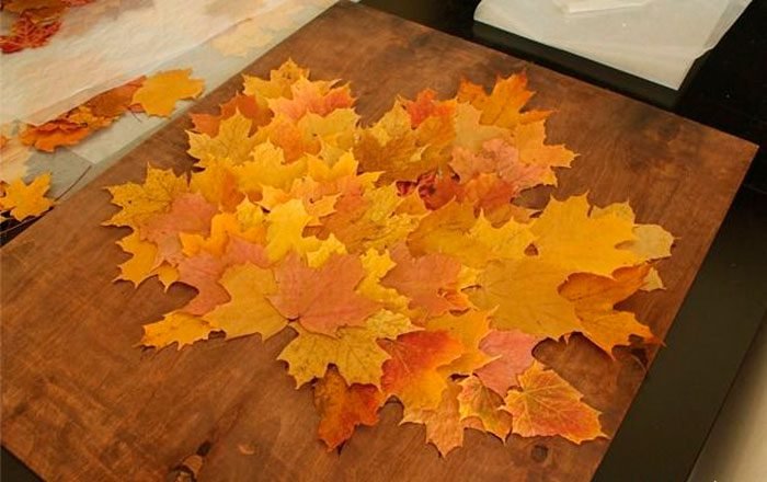 Вироби з осіннього листя своїми руками, ідеї з фото, майстер класи