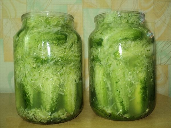 Огірки в гірчичній заливці на зиму — рецепти на 4 кг і 5 кг