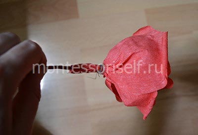 Вироби з гофрованого паперу: квіти своїми руками покроково