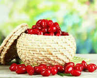 Кизил — корисні властивості свіжої і сушеної ягоди, кісточок