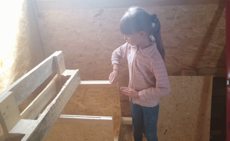 Гніздо для індички своїми руками: розміри, інструкції по будівництву