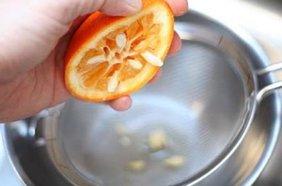 Як виростити апельсин з кісточки. Покрокова інструкція