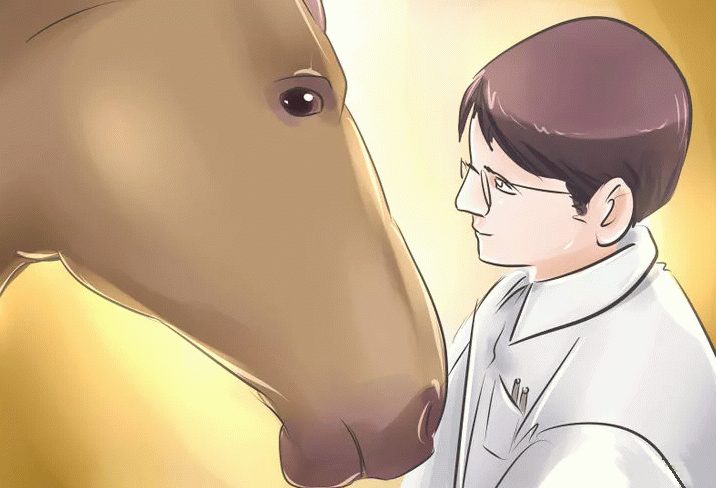 Ганноверська порода коней: зміст, раціон, догляд і нюанси придбання