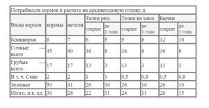 Казахська білоголова порода: опис і продуктивність