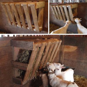 Годівниці для кіз: креслення, виготовлення своїми руками