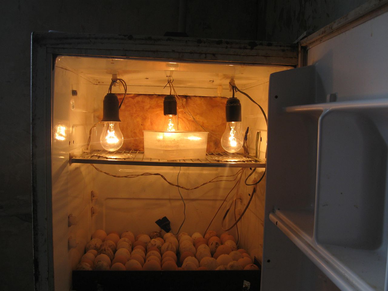 Зберігання інкубаційних яєць перед закладкою в інкубатор умови