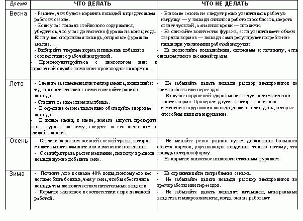 Французький рисак особливості породи коней, їх утримання, розведення