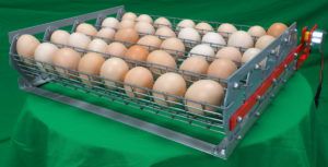 Інкубатор для яєць Бліц 48 відгук, переваги і недоліки
