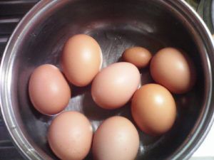 Чому кури несуть дрібні яйця? Причини і методи решеия
