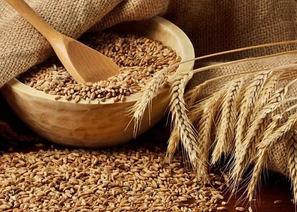 Самогон з пшениці: види і рецепти виготовлення