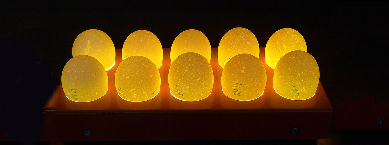 Зберігання інкубаційних яєць перед закладкою в інкубатор умови