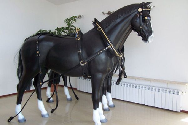 Хомут для коня: призначення, пристрій, запряжці коні своїми руками