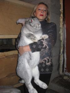 Корм для кроликів своїми руками в домашніх умовах