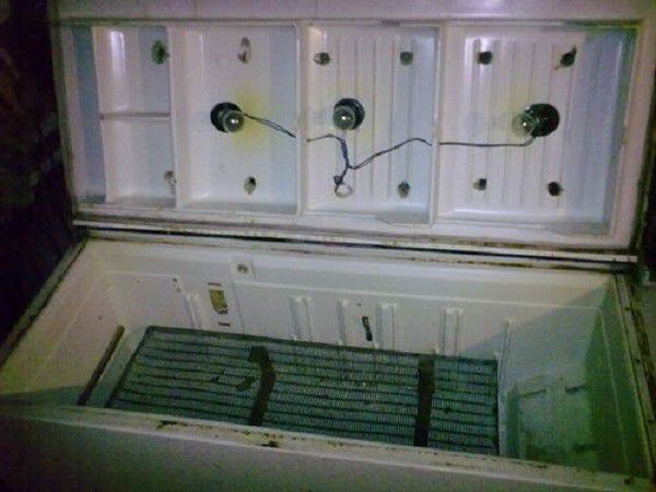 Інкубатор з холодильника: майструємо своїми руками