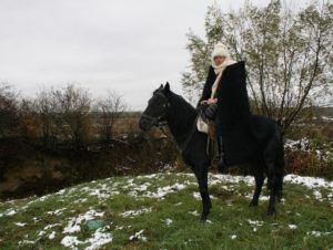 Кабардинская порода коней: опис породи, догляд та утримання
