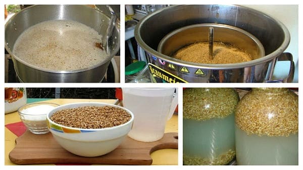 Зернова брага: рецепти та особливості
