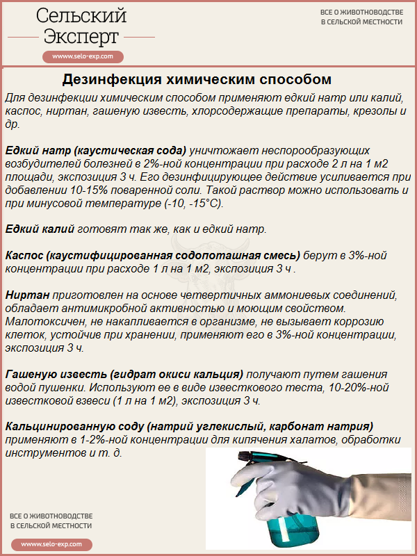 Дезінфекція кролячих кліток своїми руками: докладна інструкція + список препаратів