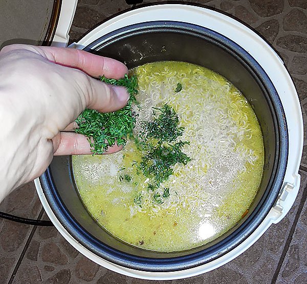 Суп курячий в мультиварці редмонд: рецепт приготування