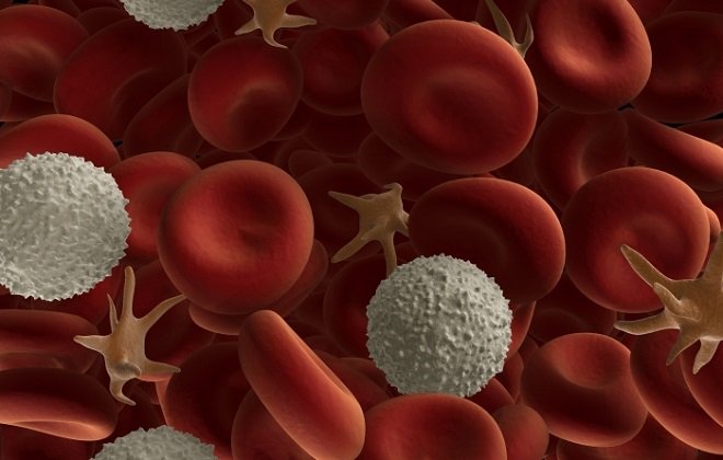Про що свідчить зниження тромбоцитів у крові дорослої людини?