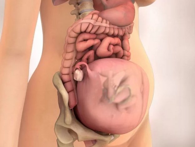 Пронос і діарея при вагітності на ранніх термінах: причини