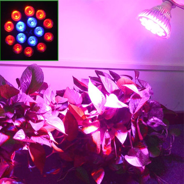 Світлодіодні фитолампы для рослин – міні парник на підвіконні