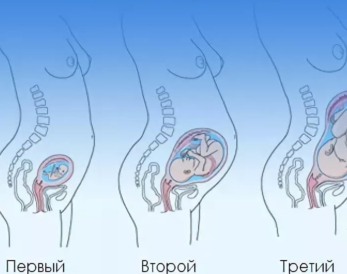 Пронос і діарея при вагітності у другому триместрі: лікування