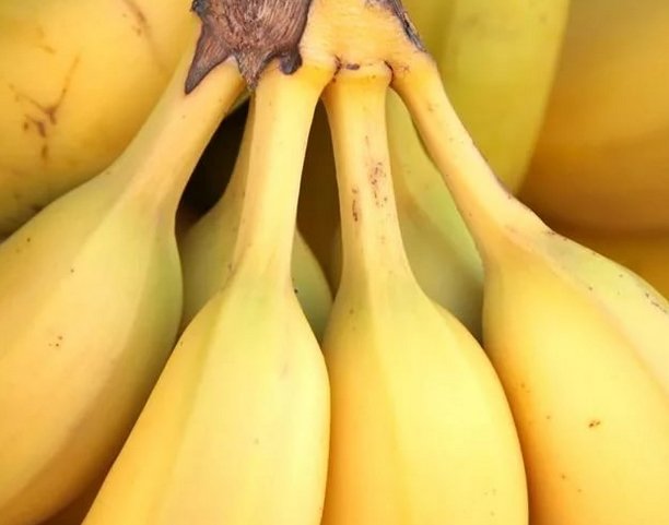 Банани при проносі і діареї Можна їсти банан при проносі