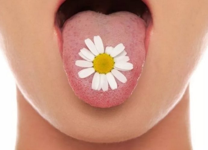 Профілактика поганого запаху з рота