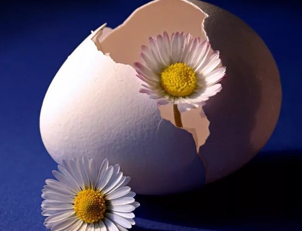 Чому відрижка тухлими яйцями: симптом якоїсь хвороби і що робити