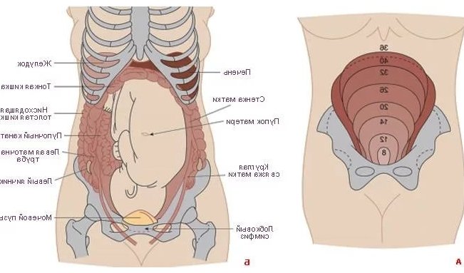 Кишкові коліки внизу живота при вагітності Кольки в животі під времемя вагітності
