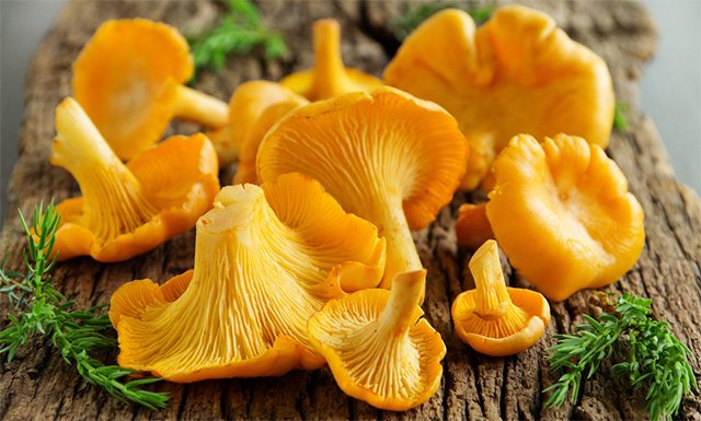 Можна їсти гриби при підвищеному холестерині