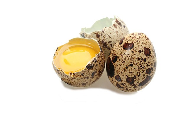 Вживання перепелиних яєць впливає на рівень холестерину