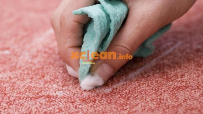 Позбавляємося від запаху дитячої, котячої і собаче сечі на килимі в домашніх умовах – хімічні і підручні засоби
