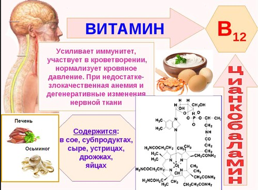 Вітамін В12 (Кобаламін): для чого потрібен організму, в яких продуктах міститься B12, інструкція по застосуванню