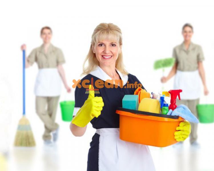 Правила проведення щоденної та генерального прибирання в будинку або квартирі – порядок дій і секрети якісного чищення