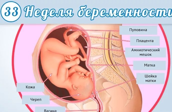 34 тиждень вагітності і тягне низ живота Часто відбувається на 34 тижні вагітності