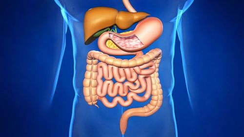 Симптоми захворювання шлунково кишкового тракту, види патологій
