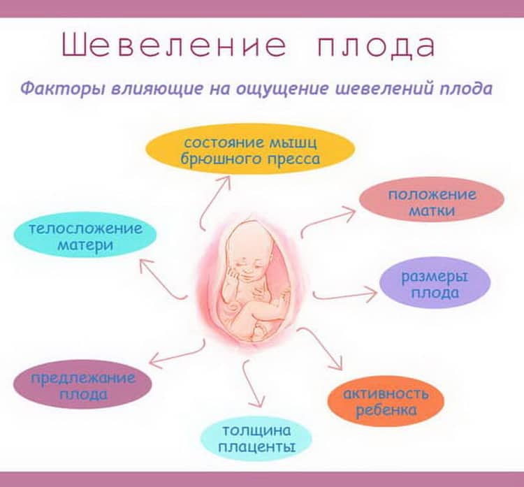 33 тиждень вагітності — що відбувається з малюком і мамою