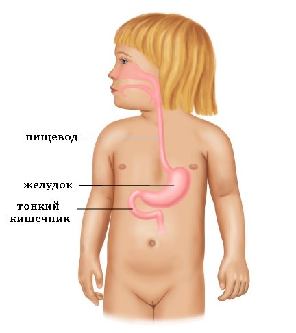 Симптоми захворювання шлунково кишкового тракту, види патологій