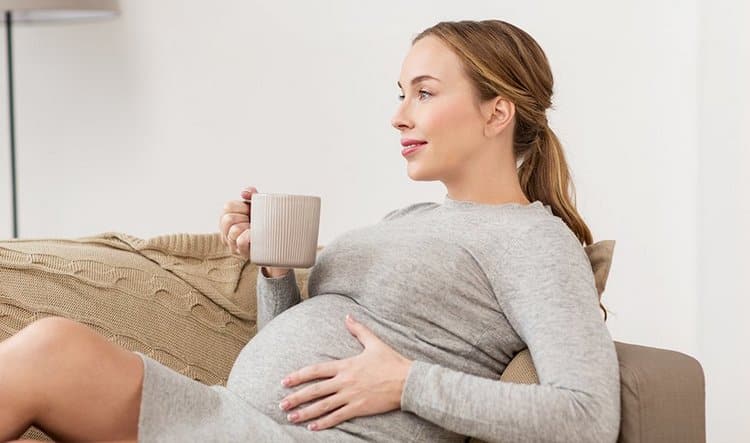 Цикорій при вагітності: за і проти