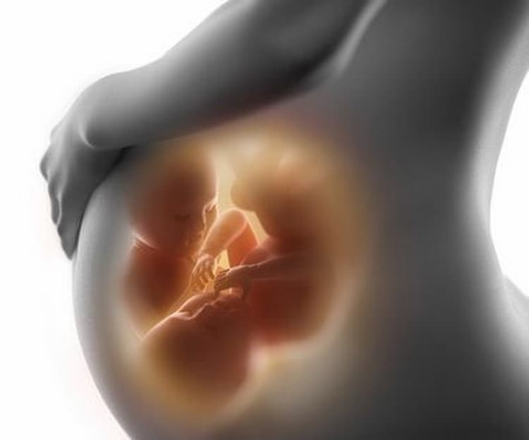 Доплер узд при вагітності: що це таке