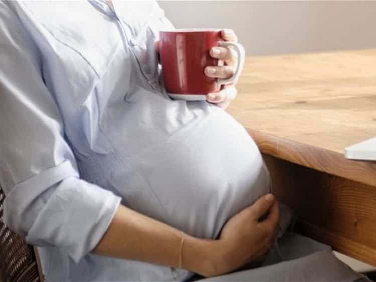 Чи можна пити шипшину при вагітності
