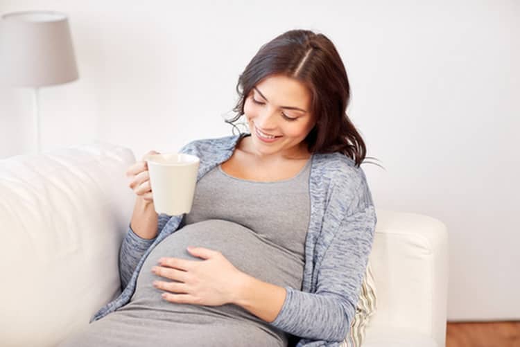 Чи можна пити шипшину при вагітності