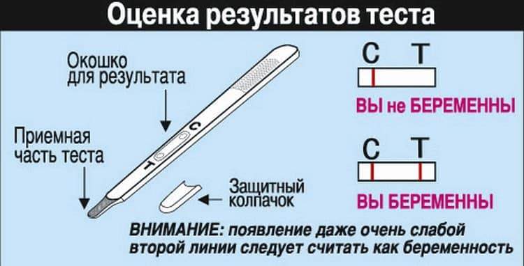 test_na_beremennost_evitest_%E2%80%93_vidy,_instrukciya139.jpg