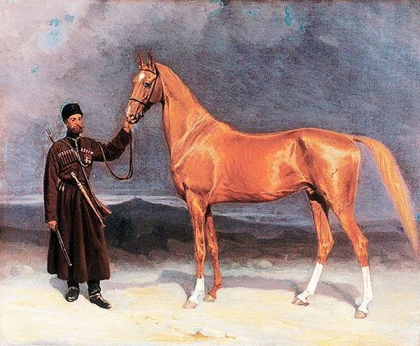 Ахалтекінська кінь: опис породи і характеристики