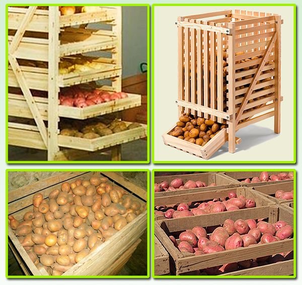 Як зберігати картоплю в погребі взимку: в ящиках, розсипом