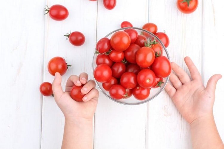 Можна помідори при грудному вигодовуванні