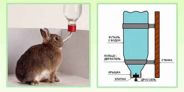 Ніпельні поїлки для кроликів і їх переваги